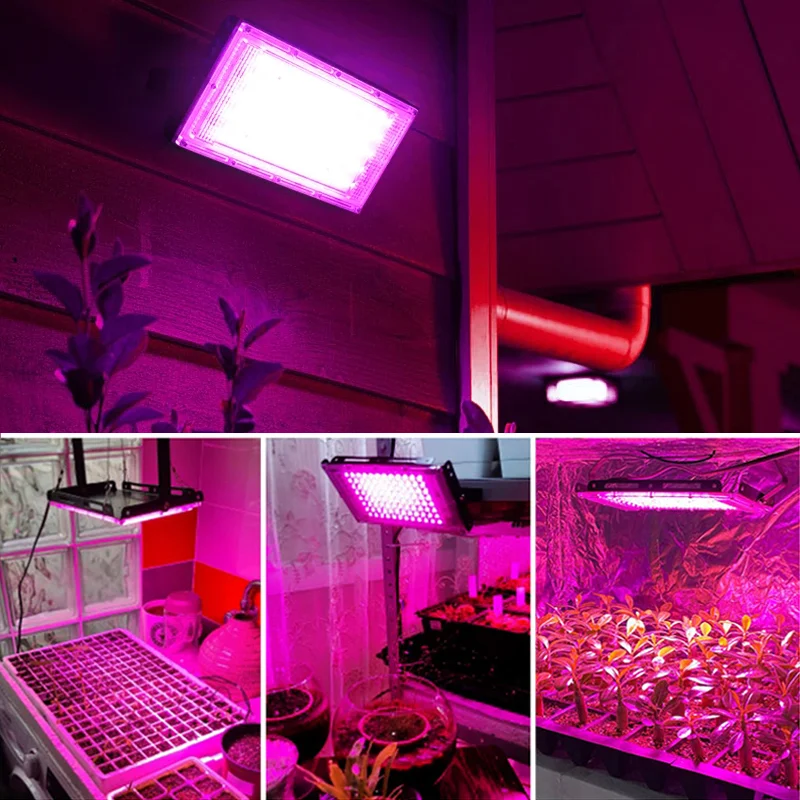 Phytolamp Para Plantas de 200W LED Crecen la Luz de Espectro Completo Fito Lámpara de 220V de la Planta de LED Para la Tienda de Flores kit de cultivo de Hidroponía Interior Imagen 5